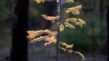 Фото нашего гида Михаила Верёвченко
