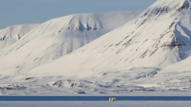 Фото Николая Кутузова