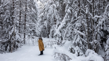 Фото нашего гида Михаила Верёвченко