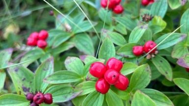 Фото нашего гида Дарьи Михайленко