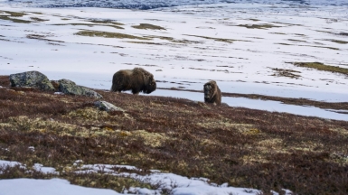 Фото: Lukas Seitz on Unsplash.com