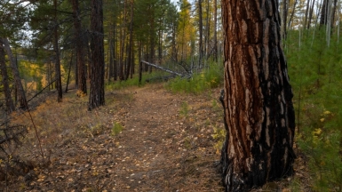 Фото нашего гида Михаила Верёвченко