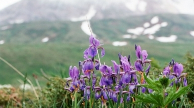 Фото нашей Странницы Анастасии Хоруженко