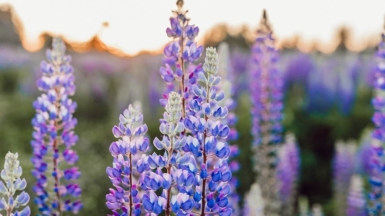 Фото: Liana Mikahon, unsplash.com