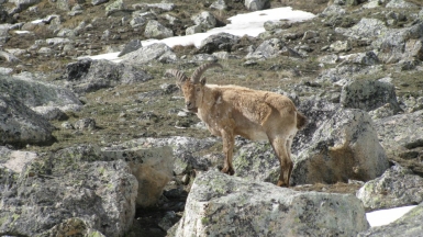 Фото нашего гида Геннадия Скосырева