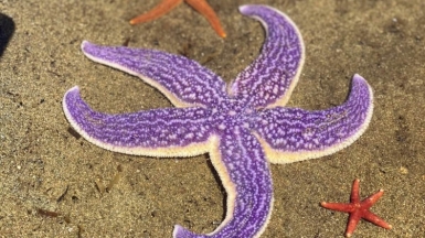 Фото нашей Странницы Татьяны Якшиной