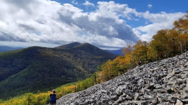 Фото наших партнёров