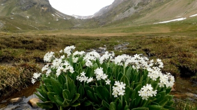 Фото Романа Мальцева