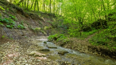 Фото нашего Странника Дмитрия Кочерыгина
