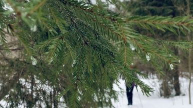 Фото наших Странников