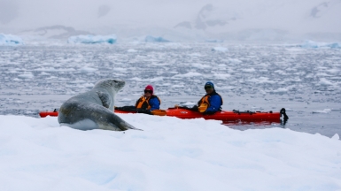 Фото: Poseidon expeditions