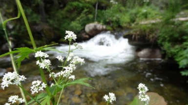 Фото нашей Странницы Веры Елькиной