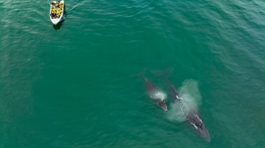 Фото из архива Клуба