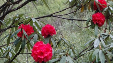 Фото из архива Клуба