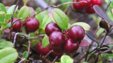 Фото из архива Клуба