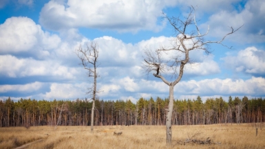 Фото нашего гида Михаила Верёвченко