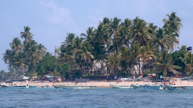 Фото: Aadil Ace, unsplash.com