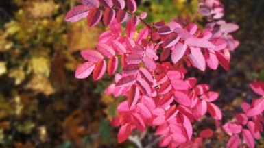 Фото нашего гида Ирины Пряничниковой