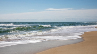 Фото: Adam Cai, unsplash.com