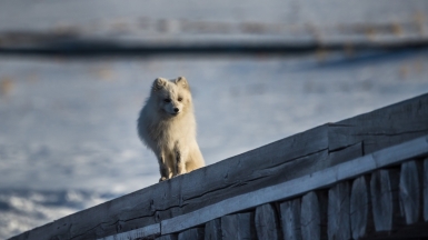 Фото: Сергея Доля