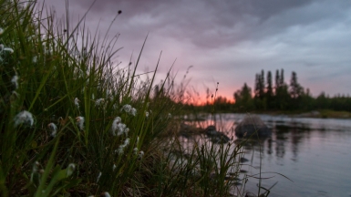 Фото: -5Nap-, visualhunt.com