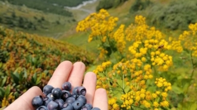 Фото нашего гида Оксаны Силаевой