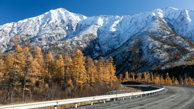 Фото: Михаил Местников