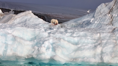 Фото из архива Клуба