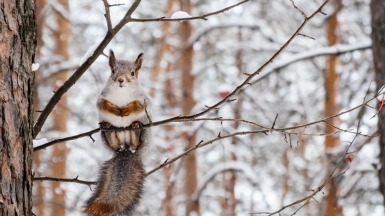 Фото: Aleksey Akimenko, unsplash.com