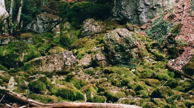 Фото: sunnylapin, visualhunt.com