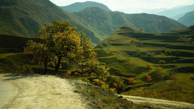 Фото: 
yulia arnaut, unsplash.com