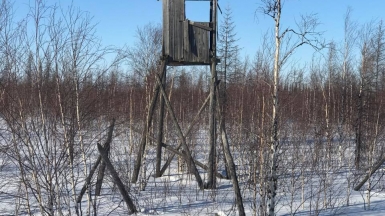 501-я стройка. Фото нашего гида Дмитрия Эскина