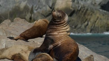 Фото наших Странников