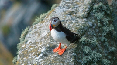 Фото нашего Странника Сергея Набиркина