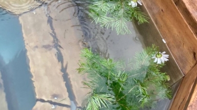 Фото нашей Странницы Елены Травкиной