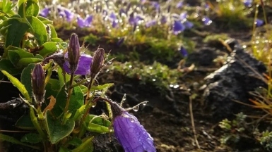 Фото Ольги Горбачёвой