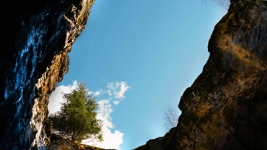 Фото: kirill fokin on unsplash