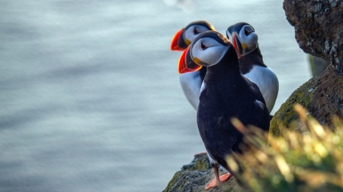 Автор: michael blum, источник: unsplash