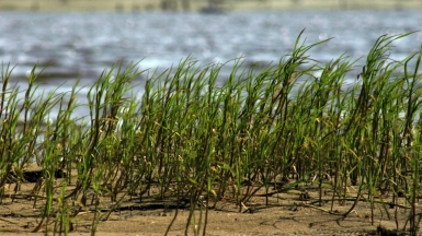 Фото: Vasilyev Serge, visualhunt.com