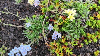 Фото нашей Странницы Татьяны Парцей