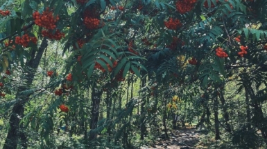 Фото гида Марины Акиловой-Елиной