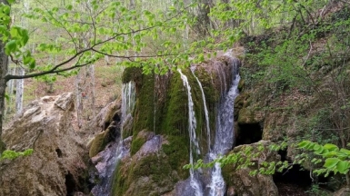 Фото нашего гида Галины Шелудько