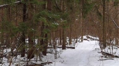 Фото нашего гида Александра Чудновского