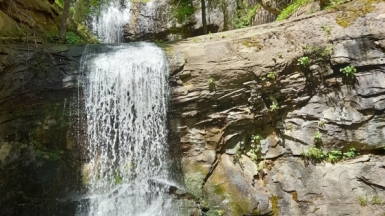 Фото нашего гида Елены Кузура