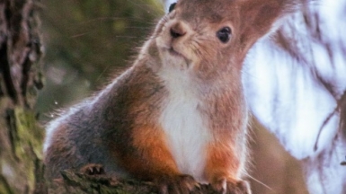 Фото: Juho Luomala on Unsplash
      