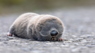 Фото нашего гида Михаила Верёвченко