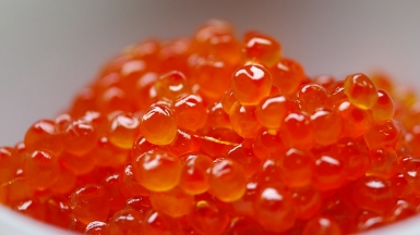 Фото: tamakisono on Visualhunt