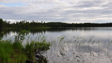 Фото нашего гида Алексея Петровского