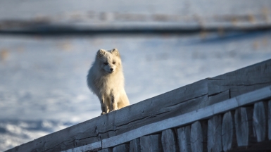 Фото: Сергей Доля
