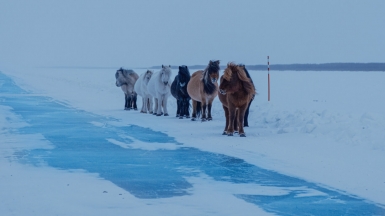 Фото: Антон Г. www.uniq.photo